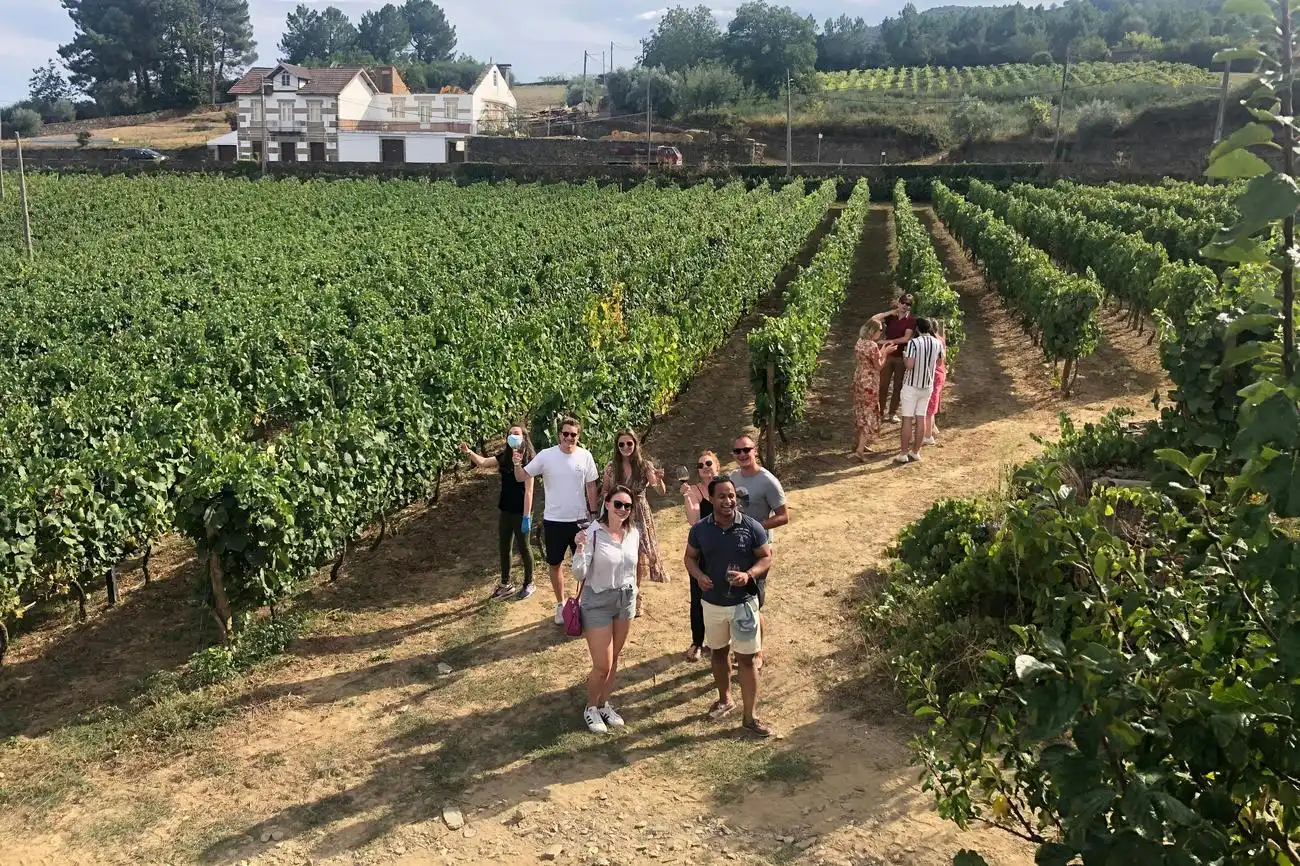 Douro Valley: Vineyard Tour, Tasting, Boat Ride + Lunch, Porto, Portugal, Porto Pass.