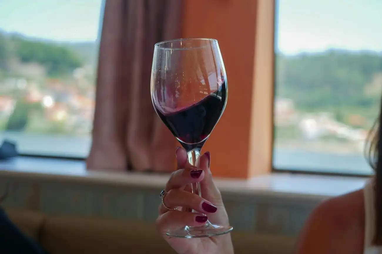 Douro Valley: Cruise from Porto to Pinhão with Breakfast, Lunch & Wine Tasting, Porto, Portugal, Porto Pass.