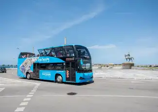 Porto: 48-Hr Hop-on Hop-off Bus + River Cruise + Wine Cellar, Porto, Portugal, Porto Pass.