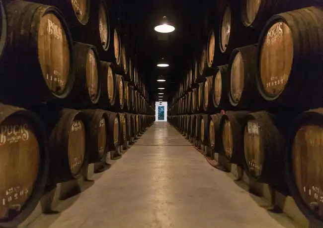 Caves Poças: Guided Tour + Tasting of 3 Port Wines, Vila Nova de Gaia, Portugal, Porto Pass.