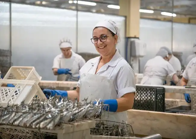 Conservas Pinhais Factory: Guided Tour in English, Porto, Portugal, Porto Pass.
