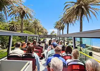 City Sightseeing Porto: 24-Hr or 48-Hr Hop-On Hop-Off Bus Tour, Porto, Portugal, Porto Pass.