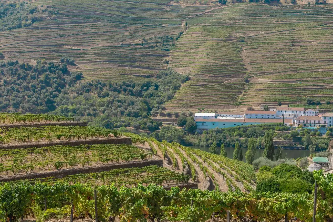 Douro Valley: Day Trip from Porto with Cruise + Port Wine Tasting & Lunch, Porto, Portugal, Porto Pass.