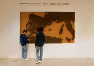 Planet Cork, Portugal at WOW Porto: Skip The Line, Vila Nova de Gaia, Portugal, Porto Pass.