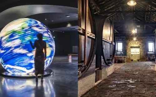 Fonseca Cellar & The Wine Experience: Tour + Tasting, Porto, Portugal, Porto Pass.