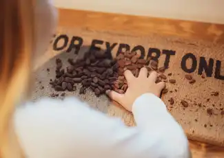 The Chocolate Story at WOW Porto: Skip The Line, Vila Nova de Gaia, Portugal, Porto Pass.