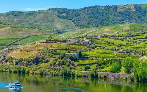 Douro Valley: Cruise from Porto to Régua with Breakfast and Lunch, Porto, Portugal, Porto Pass.