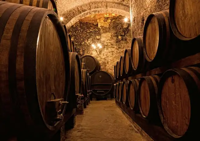 Porto: Guided Walking Tour + Lunch + Wine Tasting + Boat Ride, Porto, Portugal, Porto Pass.