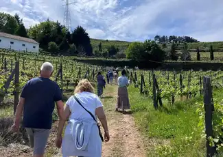 Douro Valley: Guided Day Trip from Porto + Wine Tasting + River Cruise, Porto, Portugal, Porto Pass.
