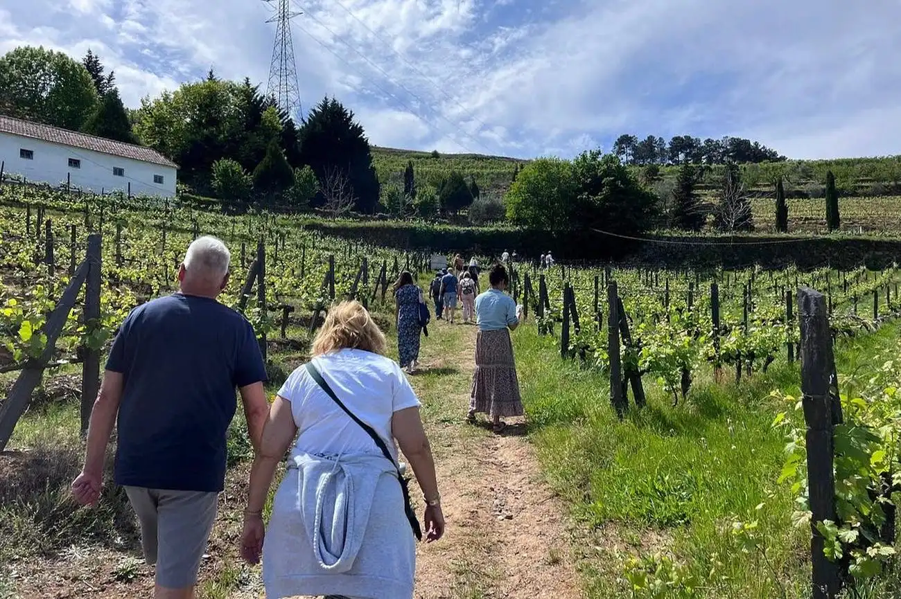 Douro Valley: Day Trip from Porto + River Cruise + Lunch, Porto, Portugal, Porto Pass.