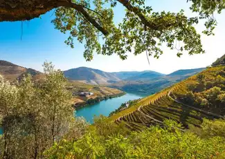 Douro Valley: Cruise from Porto to Pinhão with Breakfast, Lunch & Wine Tasting, Porto, Portugal, Porto Pass.