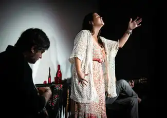 Porto: Fado na Baixa, Porto, Portugal, Porto Pass.