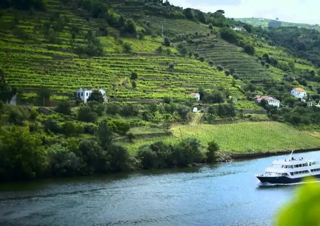 Douro Valley: Cruise from Porto to Pinhão with Breakfast, Lunch & Wine Tasting, Porto, Portugal, Porto Pass.