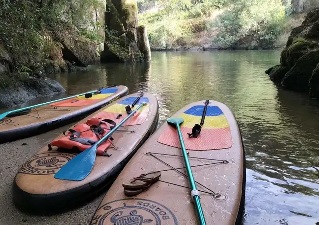 Standup Paddle Paiva River Tour from Porto with Transfer, Porto, Portugal, Porto Pass.