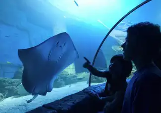 SEA LIFE Porto: Annual Pass, Porto, Portugal, Porto Pass.