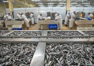 Conservas Pinhais Factory: Guided Tour in English, Porto, Portugal, Porto Pass.