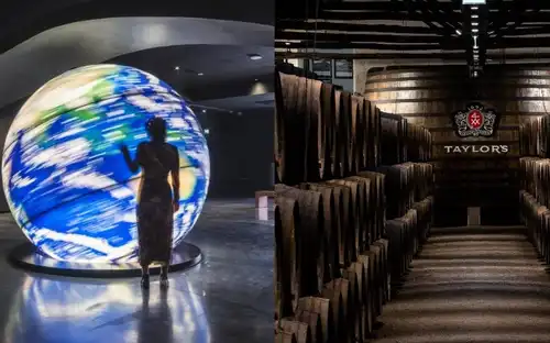 Taylor's Cellar & The Wine Experience: Tour + Tasting, Vila Nova de Gaia, Portugal, Porto Pass.