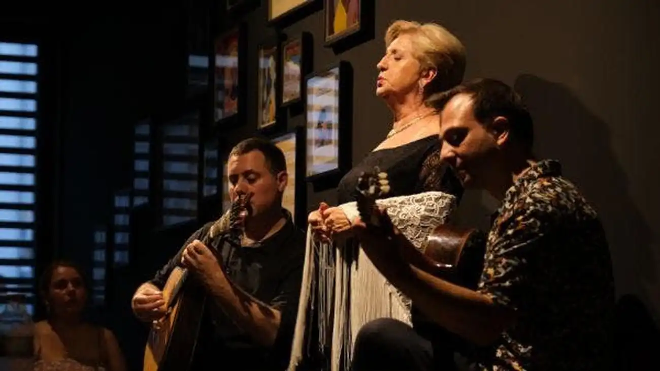 Porto: Traditional Fado Concert, Porto, Portugal, Porto Pass.