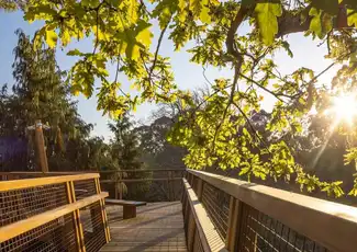 Serralves Park: Entry Ticket and Treetop Walk, Porto, Portugal, Porto Pass.