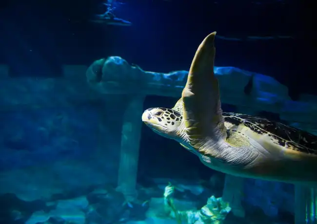 SEA LIFE Porto: Annual Pass, Porto, Portugal, Porto Pass.