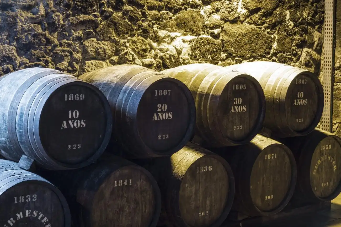 Porto Wine Tasting: Burmester Wine Cellars, Vila Nova de Gaia, Portugal, Porto Pass.