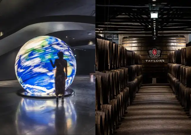 Taylor's Cellar & The Wine Experience: Tour + Tasting, Vila Nova de Gaia, Portugal, Porto Pass.