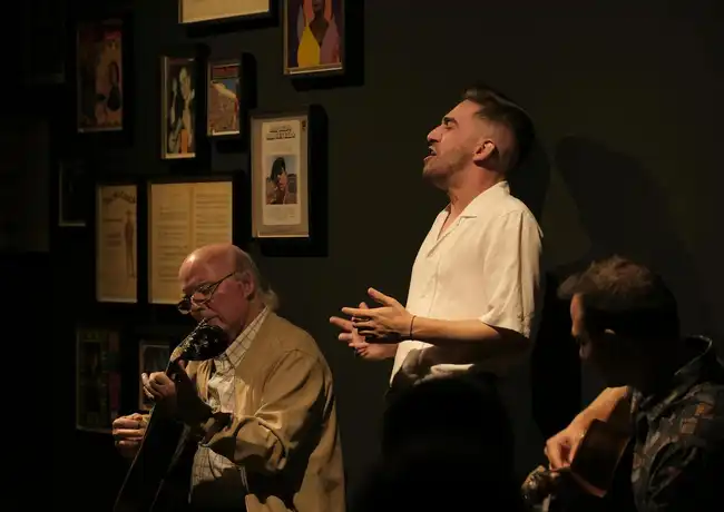 Porto: Traditional Fado Concert, Porto, Portugal, Porto Pass.