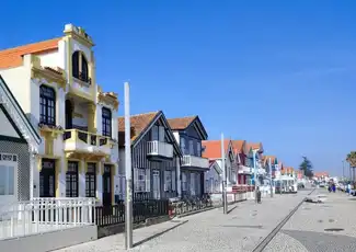 Aveiro: Half-Day Guided Tour from Porto + Boat Cruise + Pastry & Wine Tasting, Porto, Portugal, Porto Pass.