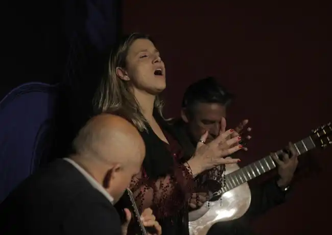 Porto: A Casa do Fado - Sé, Porto, Portugal, Porto Pass. Porto: A Casa do Fado - Sé, Porto, Portugal, Porto Pass.