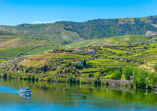 Douro Valley: Cruise from Porto to Régua with Breakfast and Lunch, Porto, Portugal, Porto Pass.
