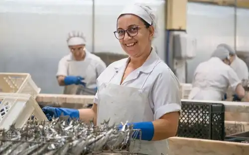 Conservas Pinhais Factory: Guided Tour in English, Porto, Portugal, Porto Pass.