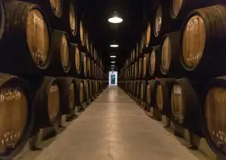 Caves Poças: Guided Tour + Tasting of 2 DOC Douro Wines + 2 Port Wines, Vila Nova de Gaia, Portugal, Porto Pass.