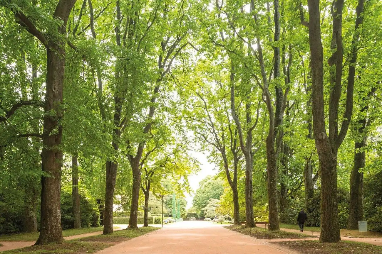 Serralves Foundation: All-Access Entry Ticket, Porto, Portugal, Porto Pass.