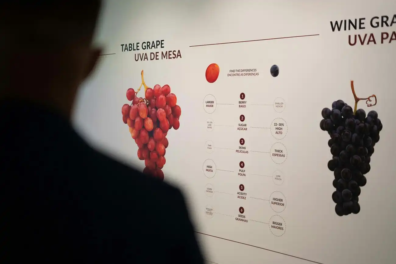 The Wine Experience at WOW Porto: Skip The Line, Vila Nova de Gaia, Portugal, Porto Pass.