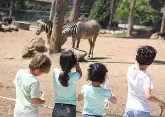 Zoo Santo Inácio: Skip The Line Ticket, Avintes, Portugal, Porto Pass.