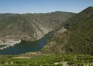 Douro Valley: Downstream Cruise from Régua to Porto with Lunch, Porto, Portugal, Porto Pass.