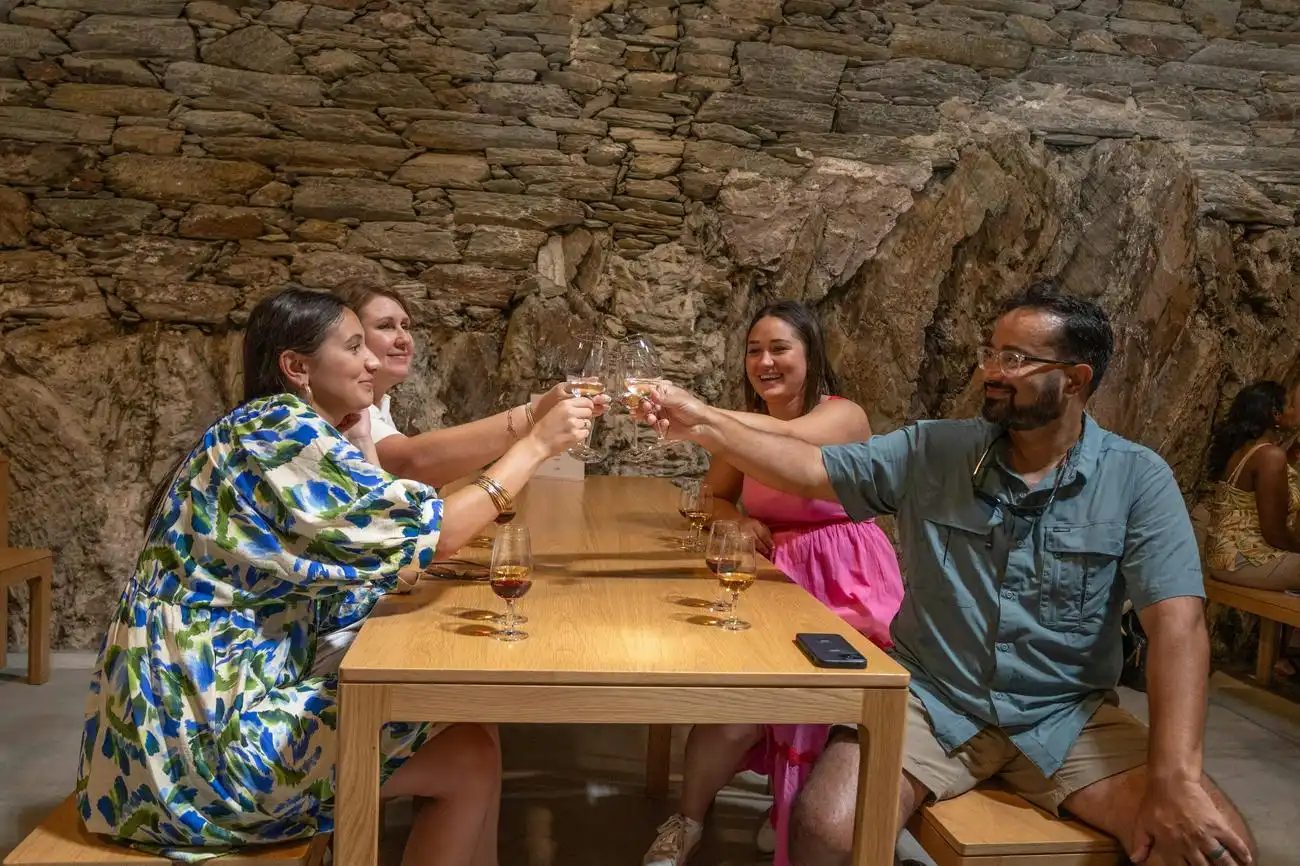 Douro Valley: Day Trip from Porto with Cruise + Port Wine Tasting & Lunch, Porto, Portugal, Porto Pass.