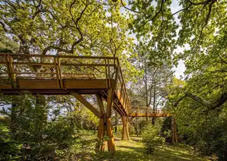 Serralves Park: Entry Ticket and Treetop Walk, Porto, Portugal, Porto Pass.