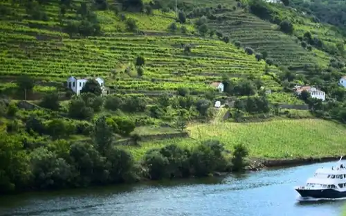 Douro Valley: Cruise from Porto to Pinhão with Breakfast, Lunch & Wine Tasting, Porto, Portugal, Porto Pass.