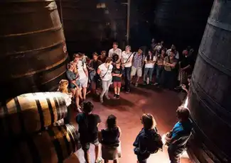 Cálem Caves: Guided Tour with Fado Show and Wine, Porto, Portugal, Porto Pass.