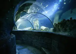 SEA LIFE Porto: Annual Pass, Porto, Portugal, Porto Pass.