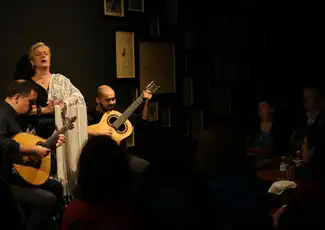 Porto: Traditional Fado Concert, Porto, Portugal, Porto Pass.