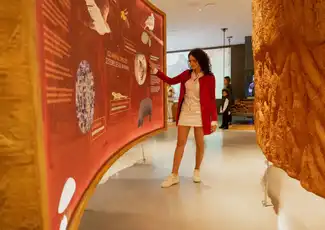Planet Cork, Portugal at WOW Porto: Skip The Line, Vila Nova de Gaia, Portugal, Porto Pass.
