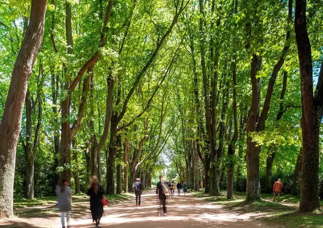 Serralves Park: Entry Ticket and Treetop Walk, Porto, Portugal, Porto Pass.