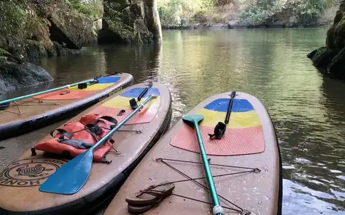 Standup Paddle Paiva River Tour from Porto with Transfer, Porto, Portugal, Porto Pass.