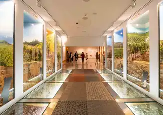 The Wine Experience at WOW Porto: Skip The Line, Vila Nova de Gaia, Portugal, Porto Pass.