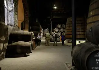 Graham's Port Lodge: Guided Tour & Tasting with Pairings, Vila Nova de Gaia, Portugal, Porto Pass.