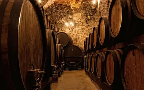 Porto: Guided Walking Tour + Lunch + Wine Tasting + Boat Ride, Porto, Portugal, Porto Pass.