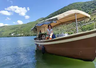 Porto: Private Douro Valley Tour with Lunch at Quinta, Cruise & 2 Wineries, Porto, Portugal, Porto Pass.