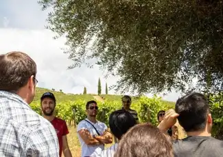 Douro Valley: Day Trip from Porto with Wine, Cheese, & Olive Oil Tasting, Porto, Portugal, Porto Pass.